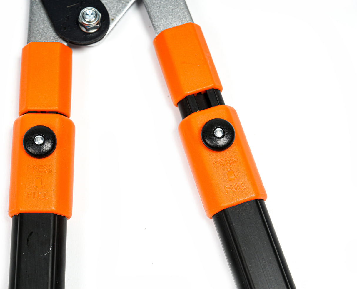 Coupe branches à bras de levier