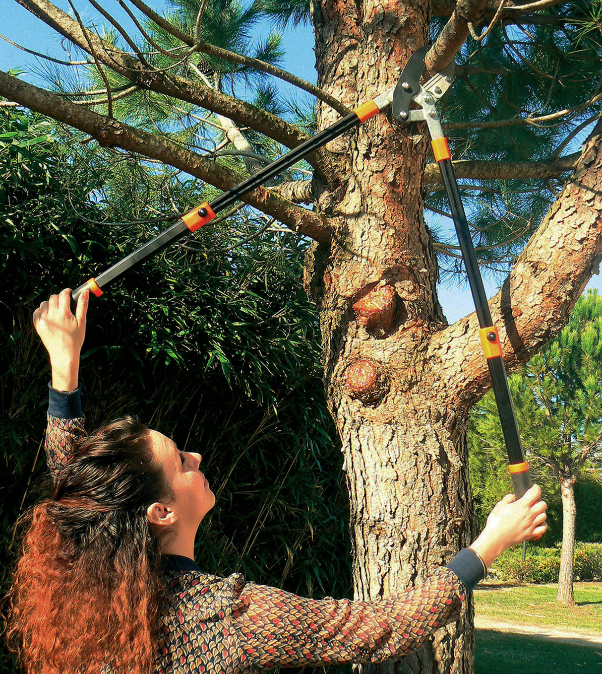 Coupe branches à bras de levier