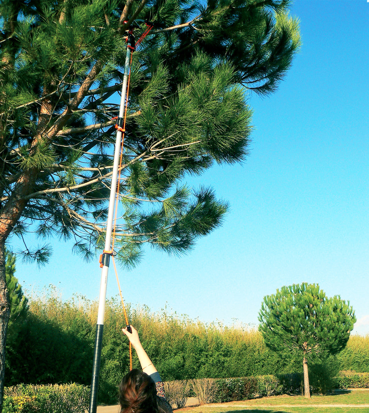 Élagueuse sur perche (échenilloir à crémaillère)