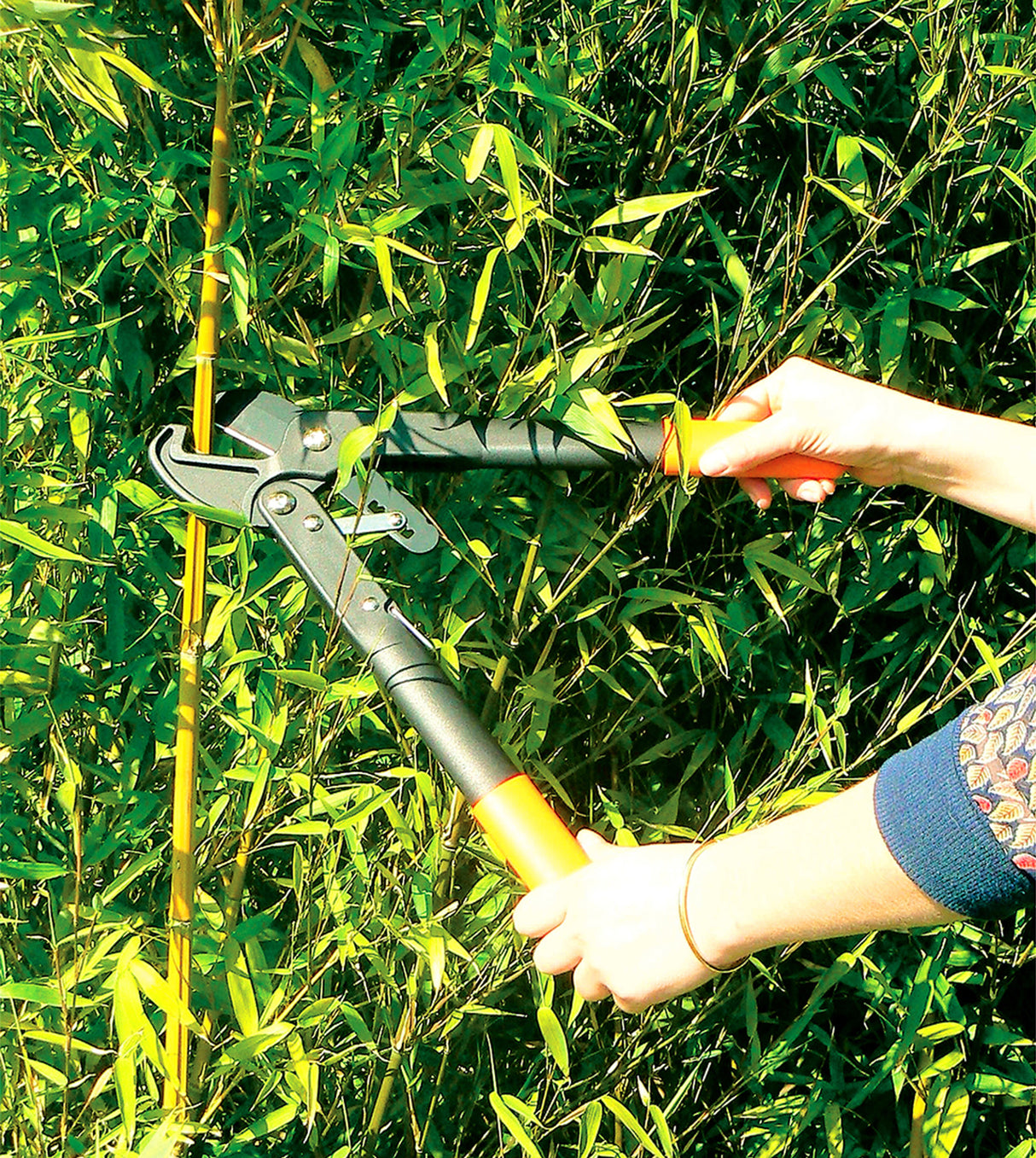 Mini cortadora de ramas de piñón y cremallera