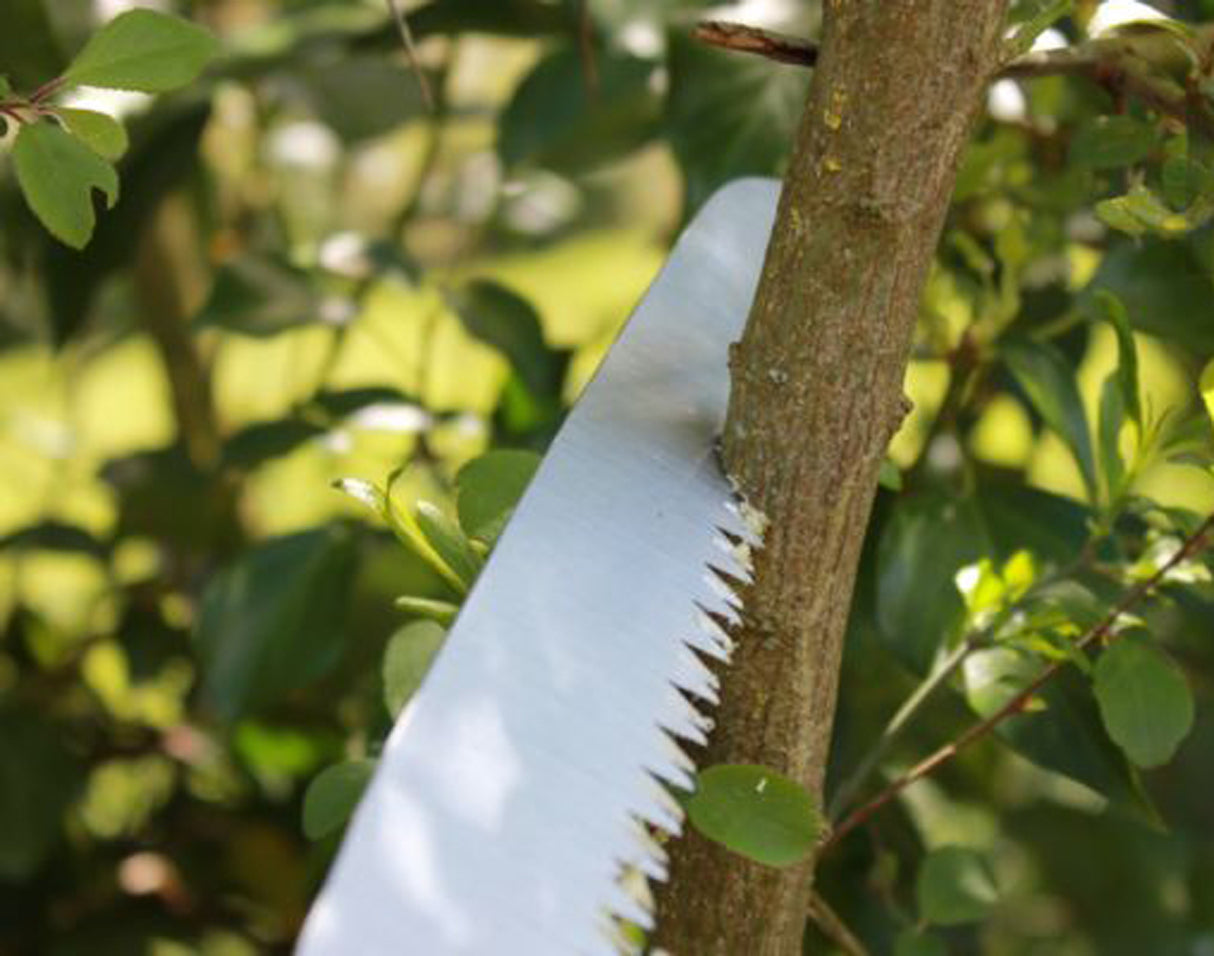 Scie arboricole pliante à double champ