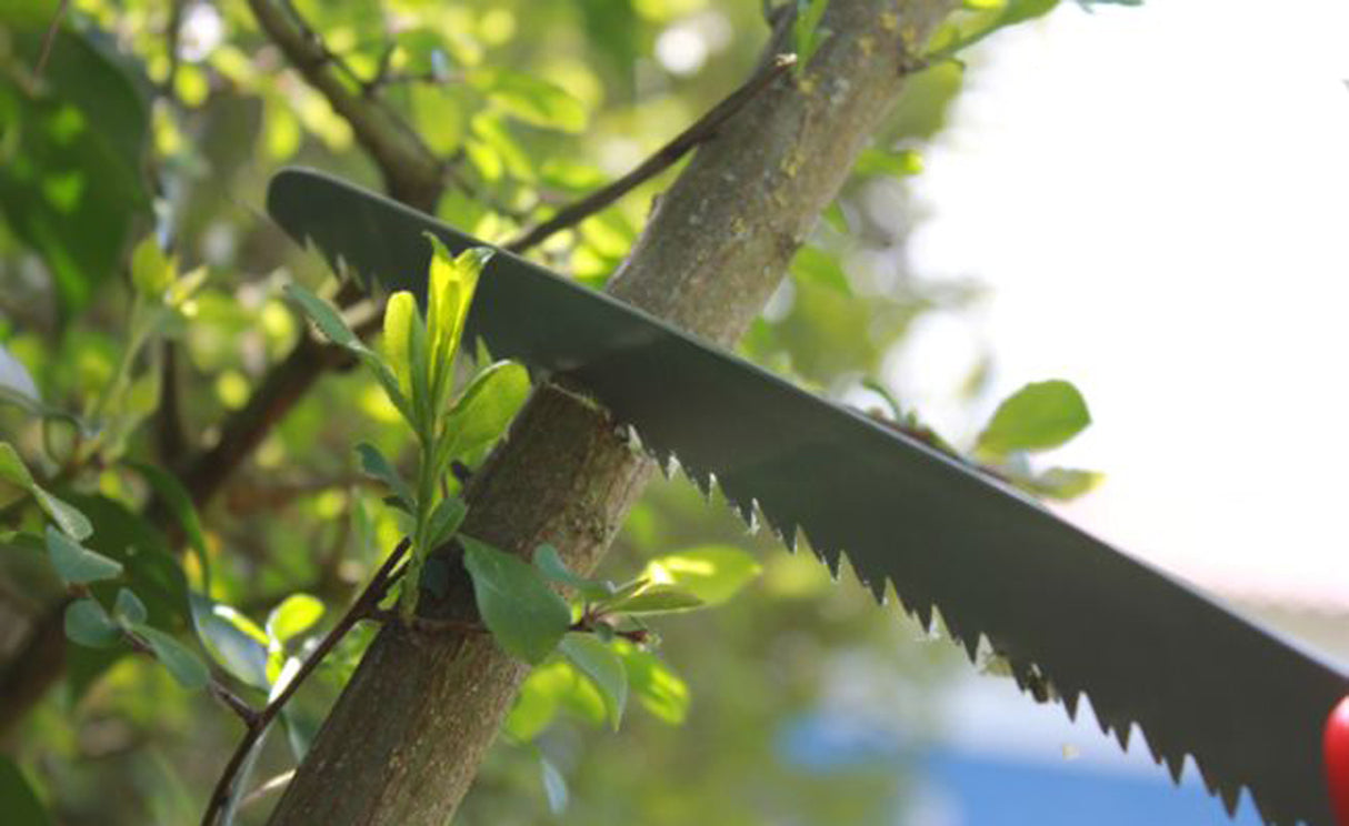 Scie arboricole pliante à double champ