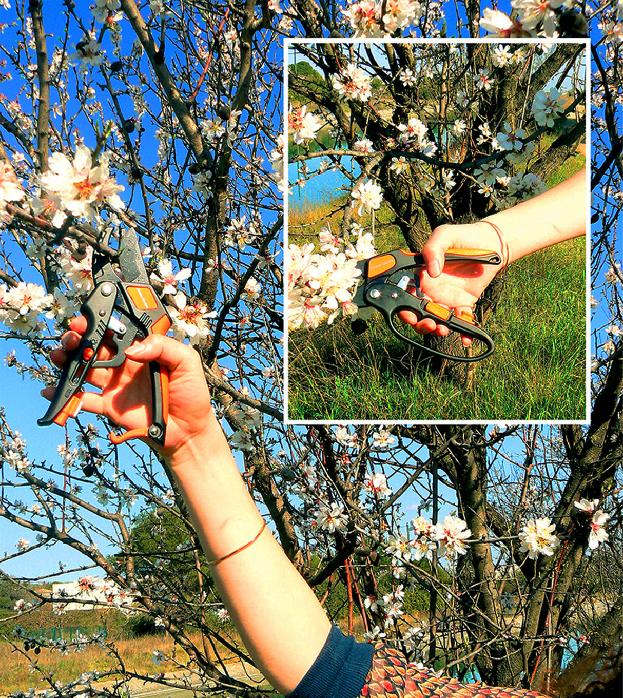 Sécateur à crémaillère