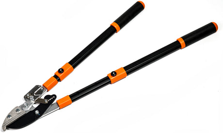 Quel coupe-branche à crémaillère choisir pour l’entretien régulier des grands jardins à Bordeaux ?