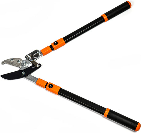 Quels types de coupe-branches à Nantes sont les plus adaptés aux arbres de la région nantaise ?