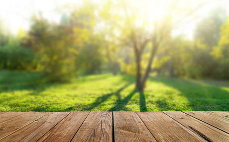 Quels sont les outils les plus recommandés pour un jardinage facile et efficace à Genève ?