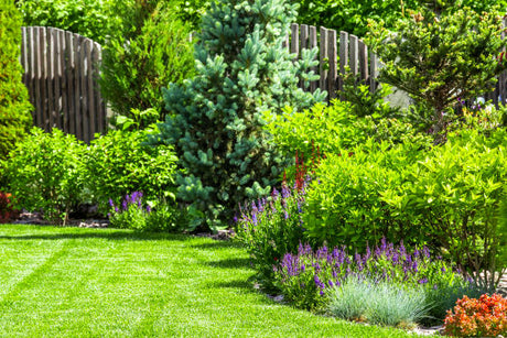 Comment optimiser l'entretien de votre jardin à Genève avec les bons outils ?