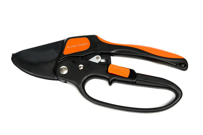 Combien coûte en moyenne un sécateur à Toulouse dans les jardineries locales ?