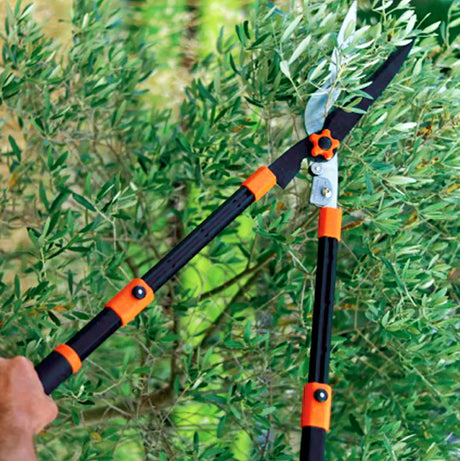 Faut-il une autorisation spéciale pour utiliser un coupe branches à Paris dans un espace vert protégé ?