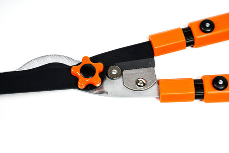 Quel coupe-branche à crémaillère avec manches télescopiques est le plus efficace pour tailler des arbres fruitiers à Metz ?