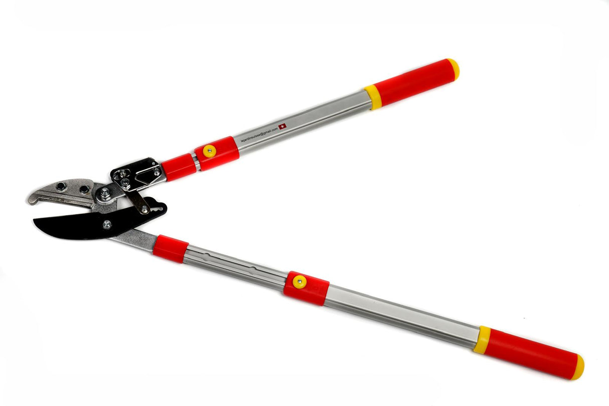 Cortadora de ramas con bastidor telescópico 